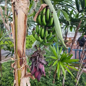 백련카페 리뷰 사진