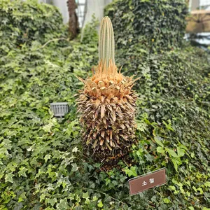 백련카페 리뷰 사진