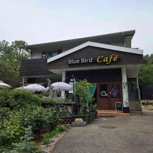 블루버드카페 리뷰 사진