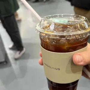엔제리너스 사진