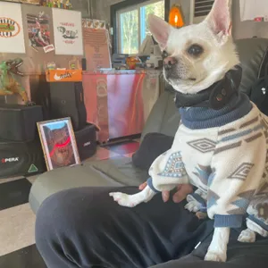 소세지클럽 리뷰 사진