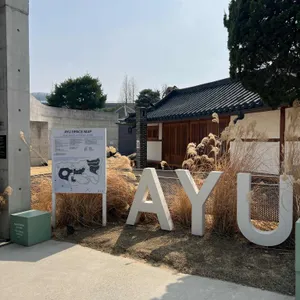 아유 스페이스 리뷰 사진