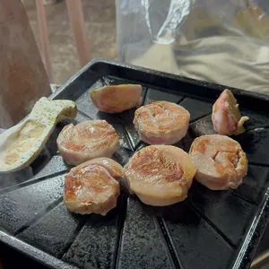상록수 사진