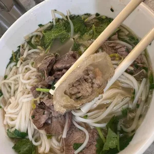 포레스트 오늘 숲 사진