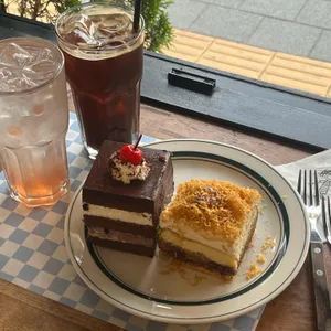 브레니파이칸틴 사진