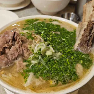 포레스트 오늘 숲 사진