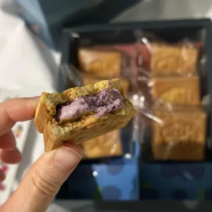 까멜리아 사진