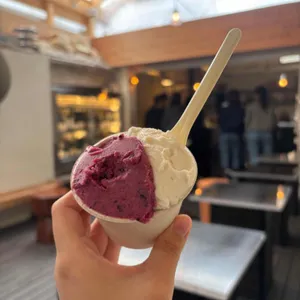 받터 사진