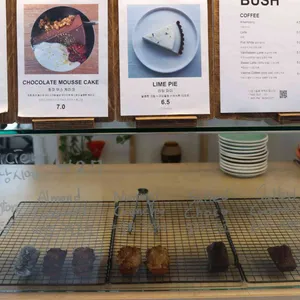 부쉬 리뷰 사진