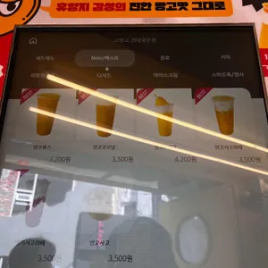 고망고 리뷰 사진