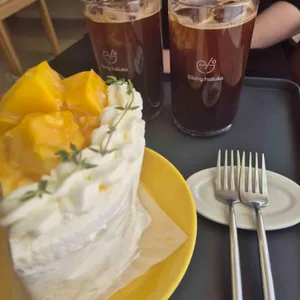 엘빙할루카 사진