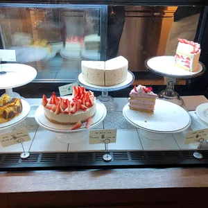 스테드 사진