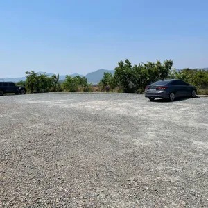 해솔방 리뷰 사진
