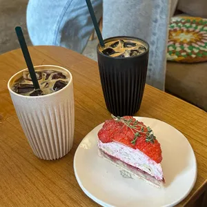 거북이 사진