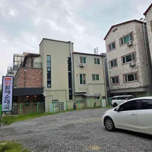 쭈불리 리뷰 사진