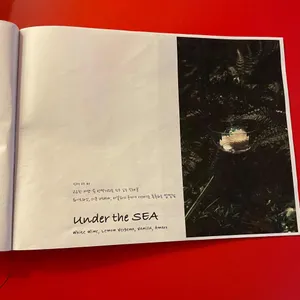 오브오브라이트 리뷰 사진