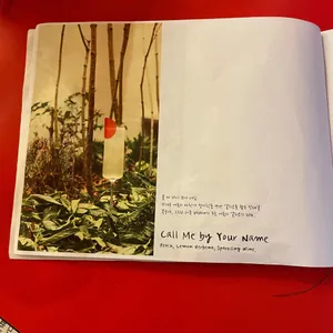 오브오브라이트 리뷰 사진