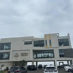 코델리아 리뷰 사진