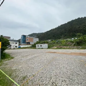 코델리아 리뷰 사진