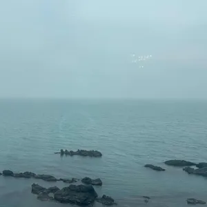 코델리아 리뷰 사진