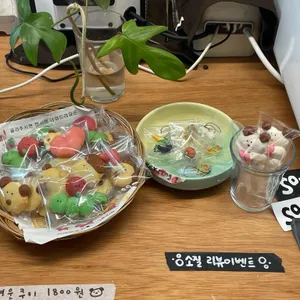 소질 사진