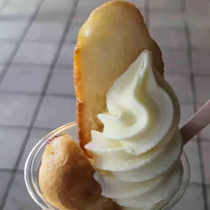 비아살라리아 사진