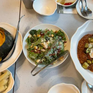 닥터로빈 사진