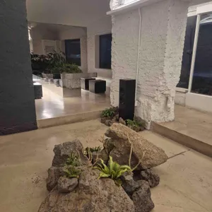 삼다코지 리뷰 사진