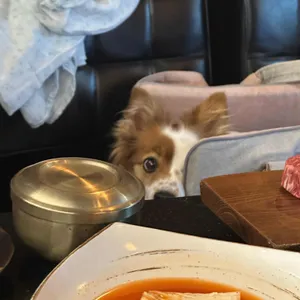 아우정 사진