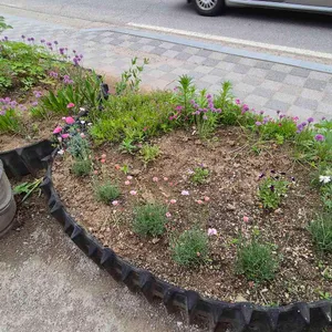 궁중해물탕 사진