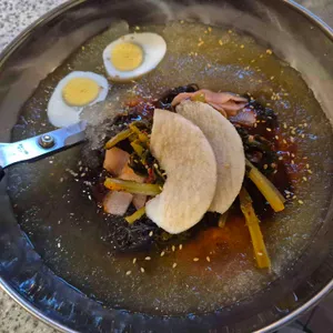 부산갈매기 사진