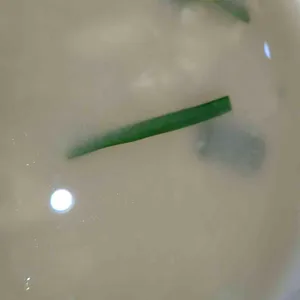 온천칼국수 사진