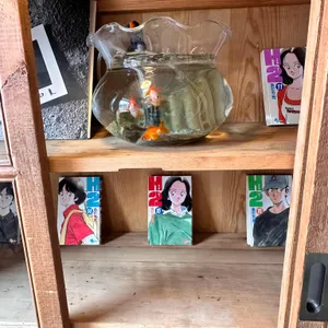 몽상 리뷰 사진