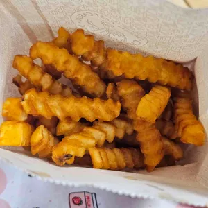 칙바이칙 사진