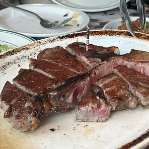 놉스 사진