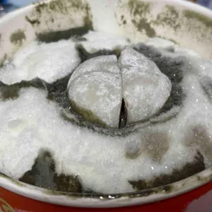 대설 사진