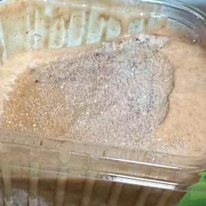 대설 사진