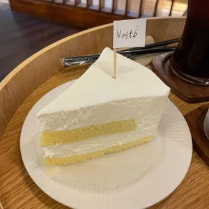 바스토 사진
