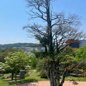 소울원 리뷰 사진