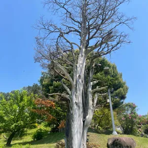 소울원 리뷰 사진