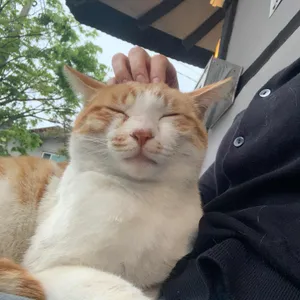 카페유일 리뷰 사진