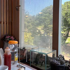 아초원 리뷰 사진