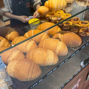 시오 사진