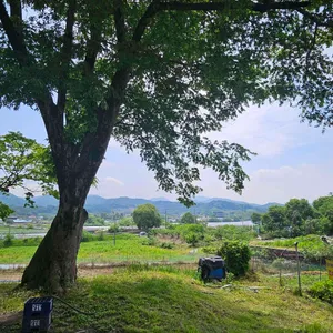 카페숨 리뷰 사진