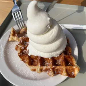 브리니 팔공 사진