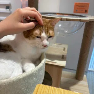 무릉냥원 리뷰 사진