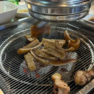 피아노줄타는돼지 사진