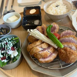 고향연화 사진