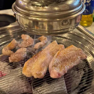 식껍 사진