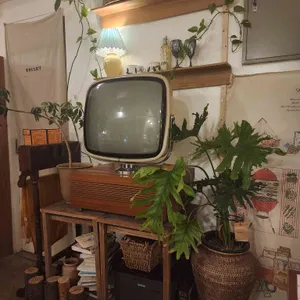 플란츠앤플라 리뷰 사진